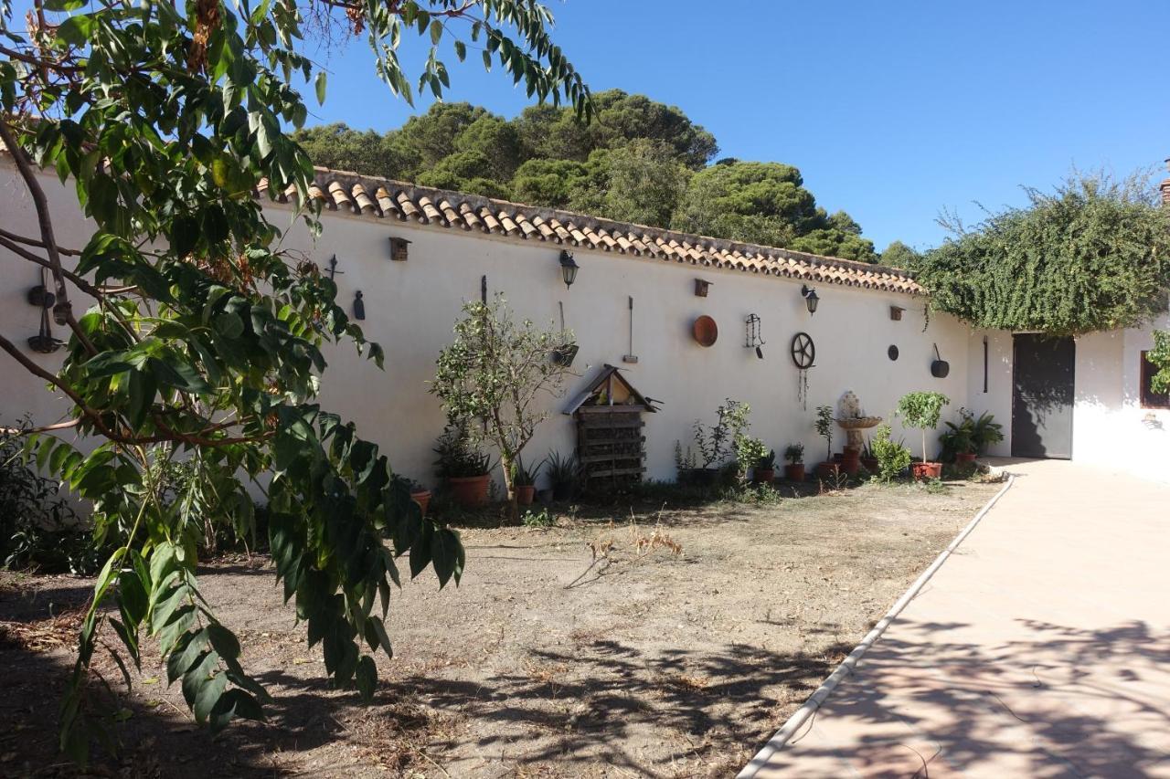 Galwey, Tourist Appartments With Wifi マラガ エクステリア 写真