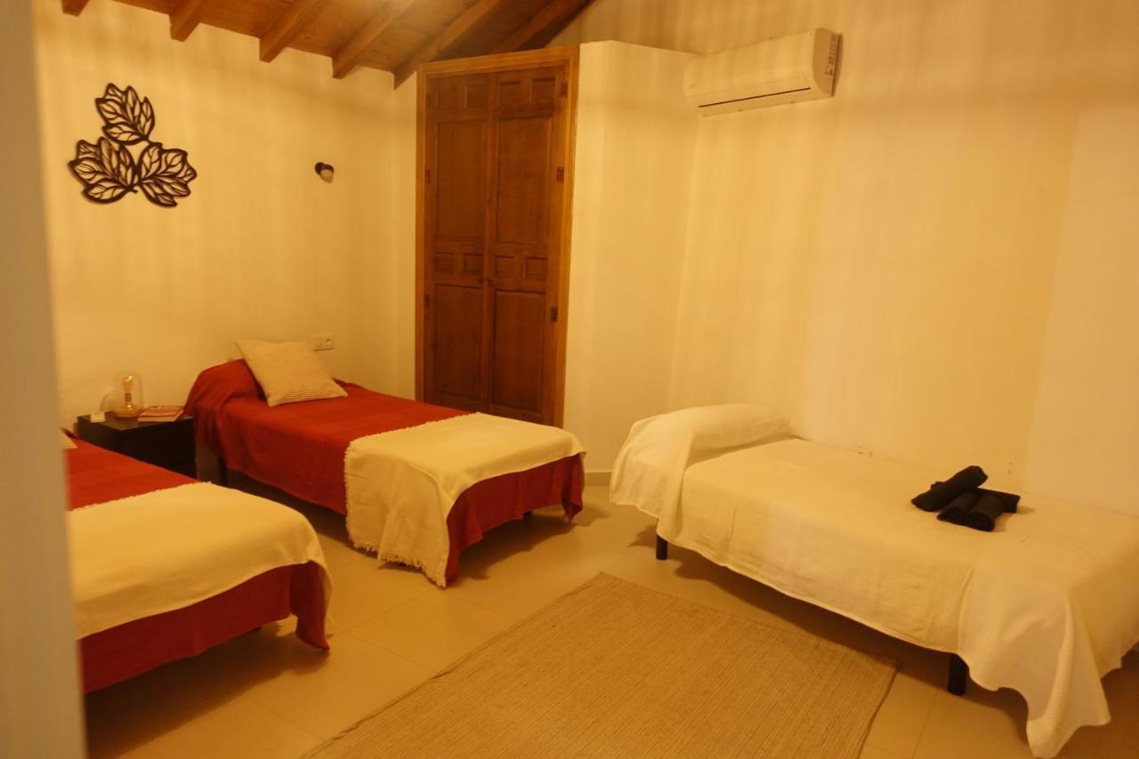 Galwey, Tourist Appartments With Wifi マラガ エクステリア 写真
