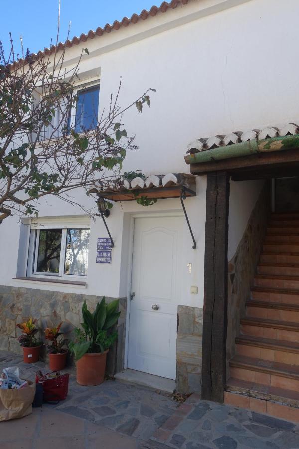 Galwey, Tourist Appartments With Wifi マラガ エクステリア 写真