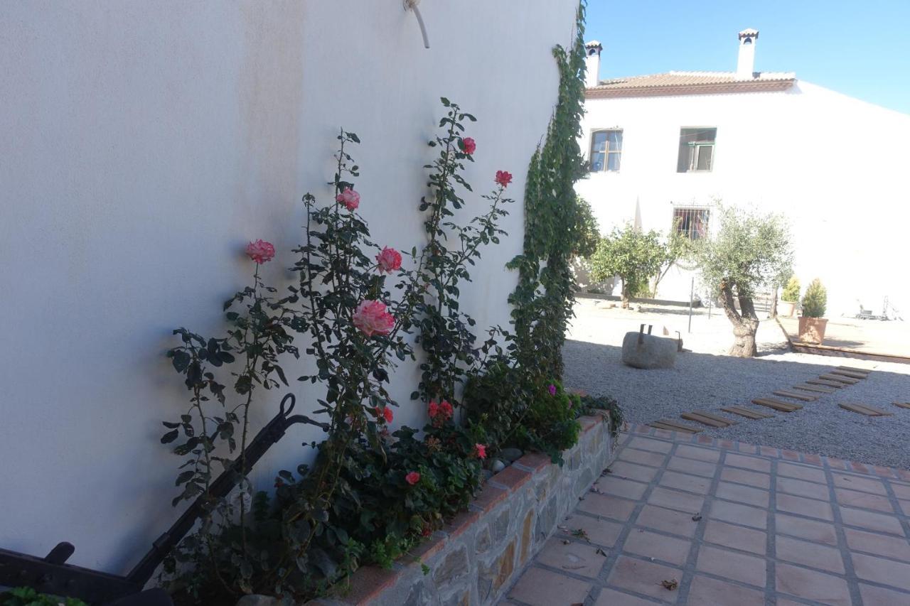 Galwey, Tourist Appartments With Wifi マラガ エクステリア 写真